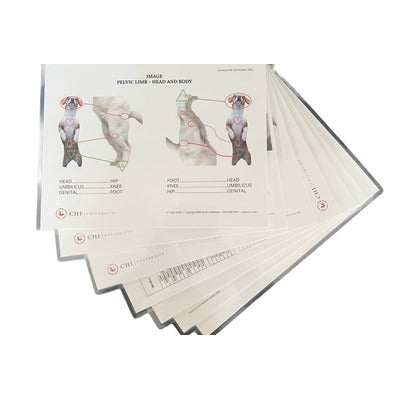Balance Method Charts