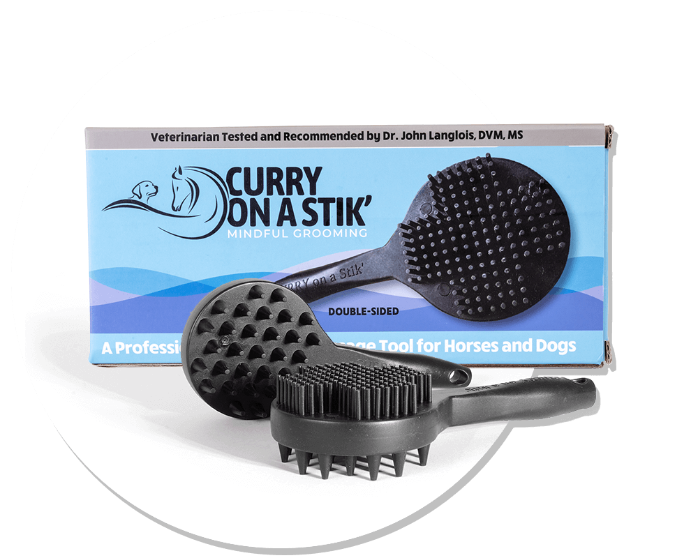 Curry on a Stik (CS01)