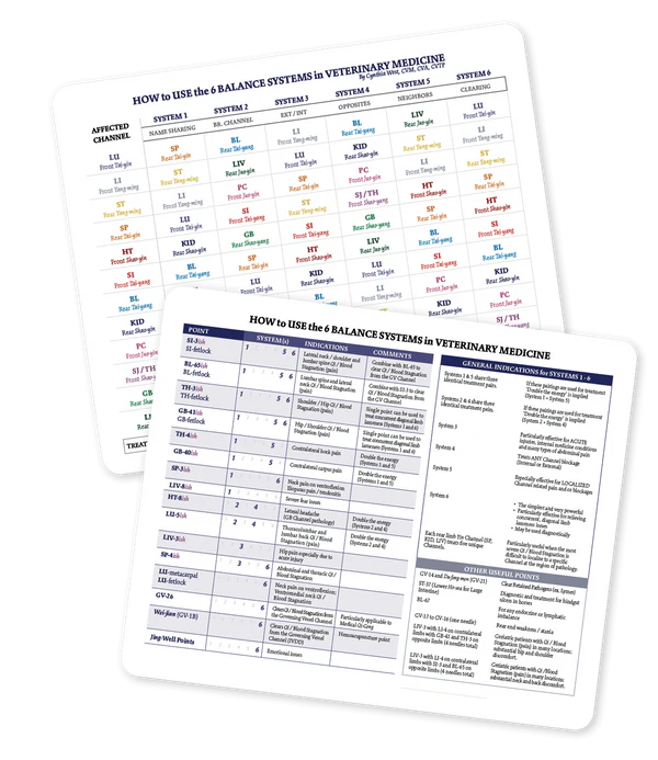 Charts & Study Aids