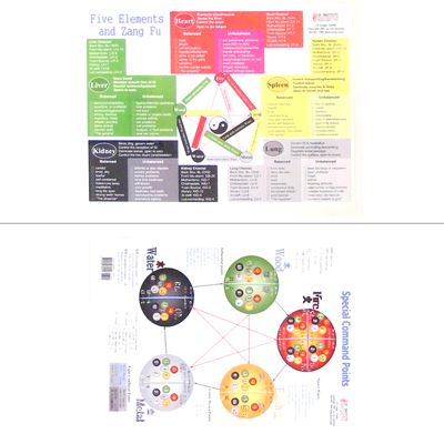 Fu Chart Xie's Five Elements/Zang Fu Chart-2 Pages (CH08) – Chi University Bookstore