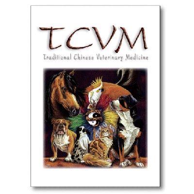 Vet Note Card - TCVM (PA14)