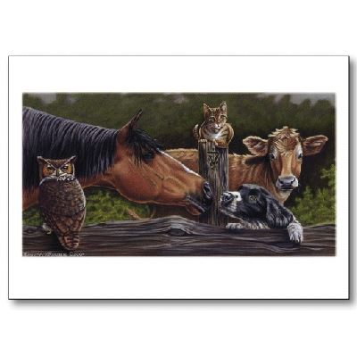 Vet Note Card 12 Pack - Horse (PA12)