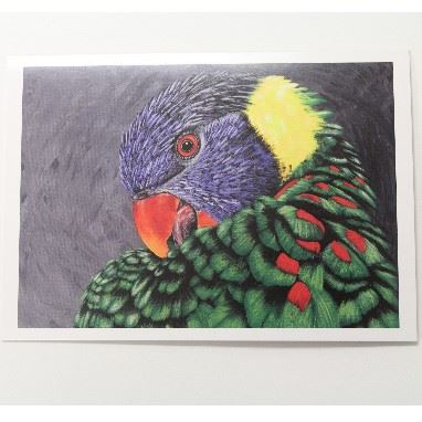 Vet Note Card Bird (12pack) (PA45)