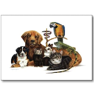 Vet Note Card Oath Bird (12pack) (PA10)