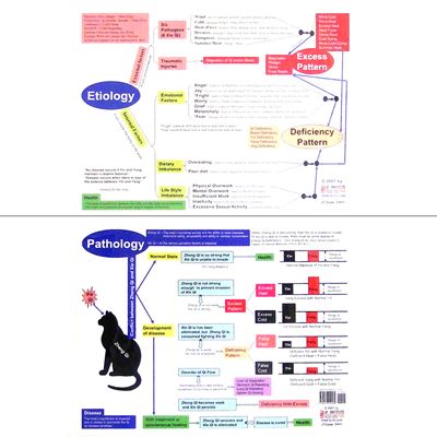 Xie's Pathology/Etiology Chart-2 Pages (CH10-1)