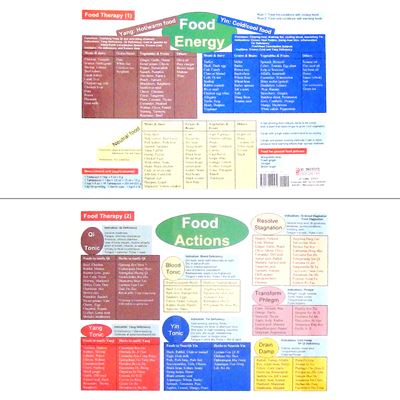 Xie's Food Therapy Chart-2 Pages (CH11)