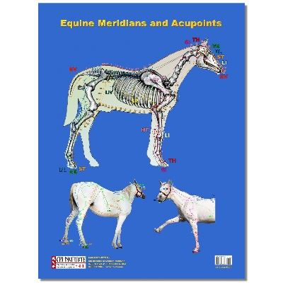 Poster: Equine Acupuncture Meridians Poster (PO04)