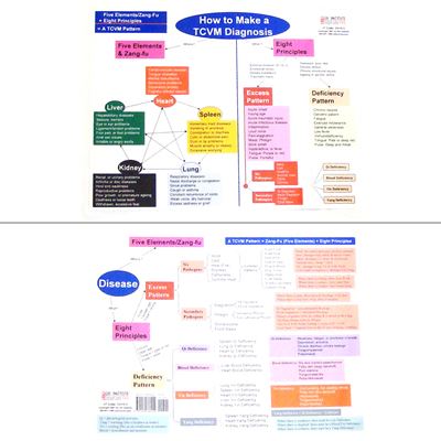 How to Make a TCVM Diagnosis Chart-2 Pages (CH10-3)