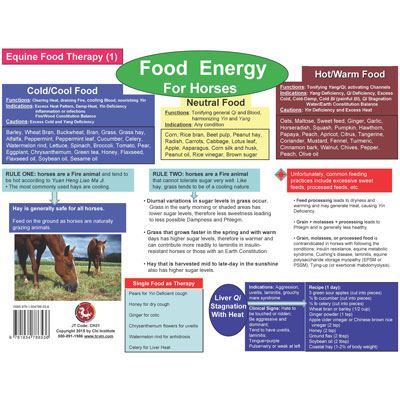 Food Therapy for Equine Chart (CH31)