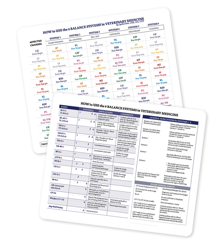 4d Balance System 6 Balance Systems Chart (CH77) – Chi University Bookstore