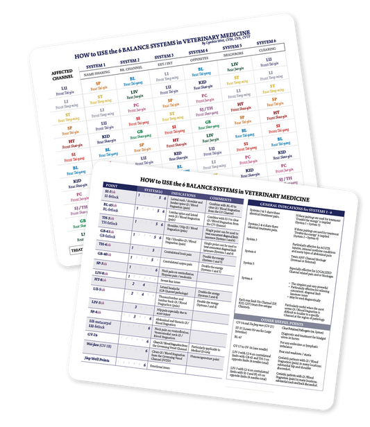 6 Balance Systems Chart (CH77)