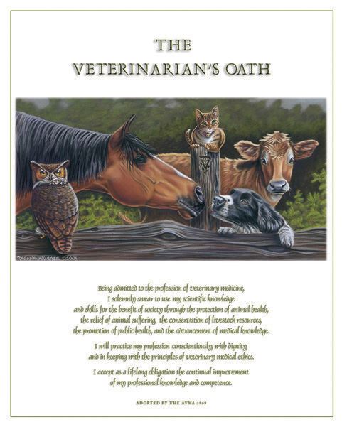 Dr. Ragona's Fine Art Print-Vet Oath: Horse (PA04)