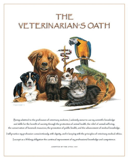 Dr. Ragona's Fine Art Print-Vet. Oath: Bird (PA06)