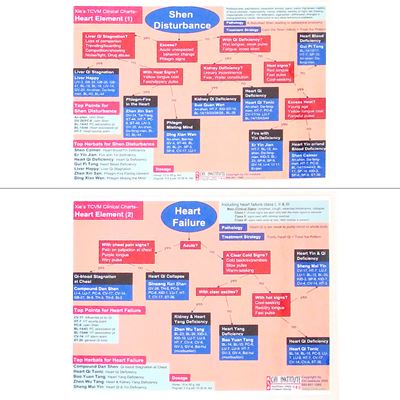 Xie's TCVM Clinic Chart-Heart-2 Pages (CH09-4)