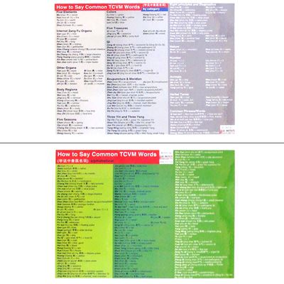 Xie's TCVM Pin Yin Chart-2 Pages (CH13)