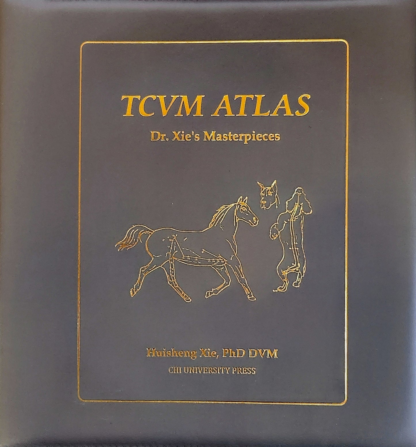 TCVM Atlas Mixed Practice Set (CHS-3)